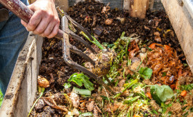 компост1647521678